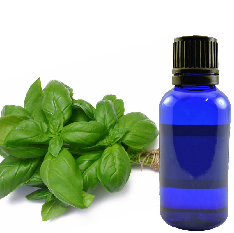 Basil Essential Oil