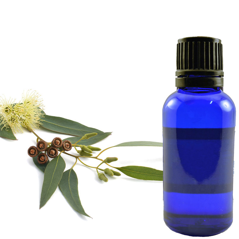 Eucalyptus Essential Oil