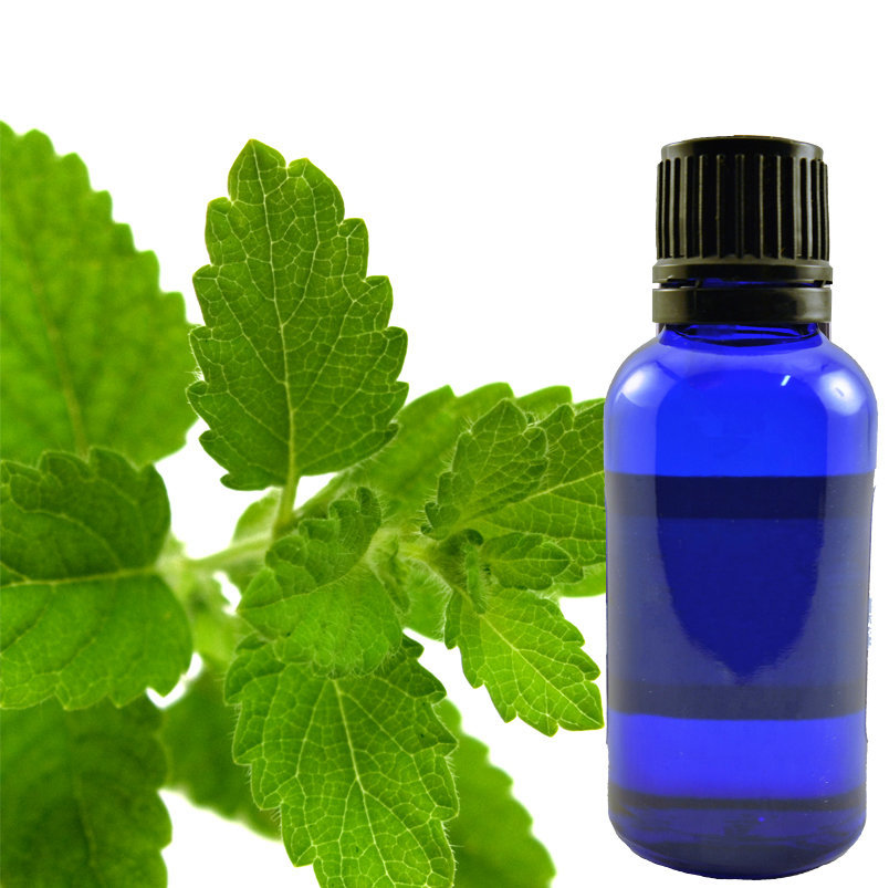 Lemon Balm Essential Oil