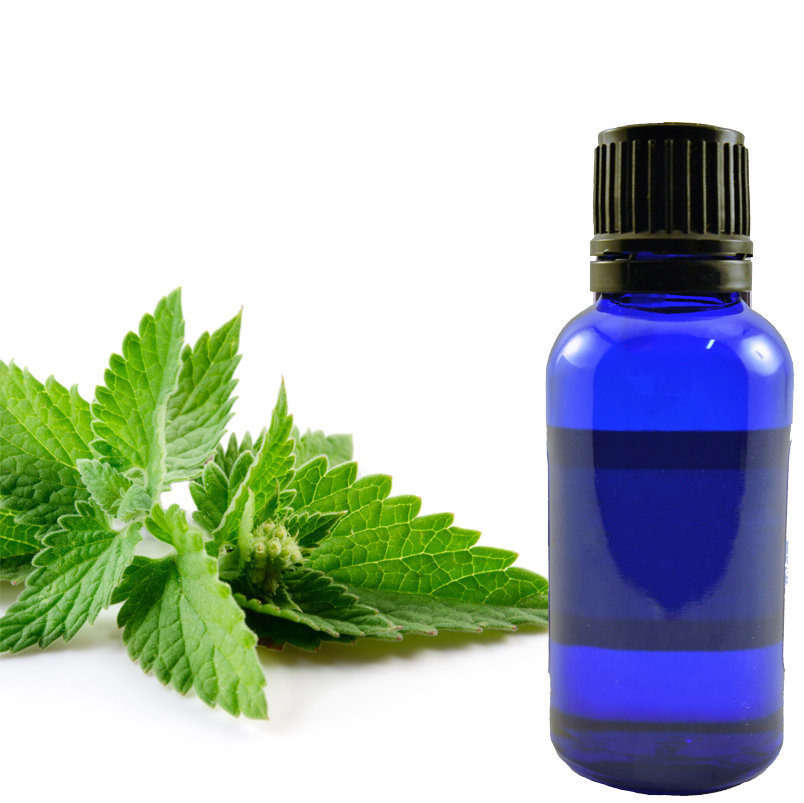 Spearmint Essential Oil