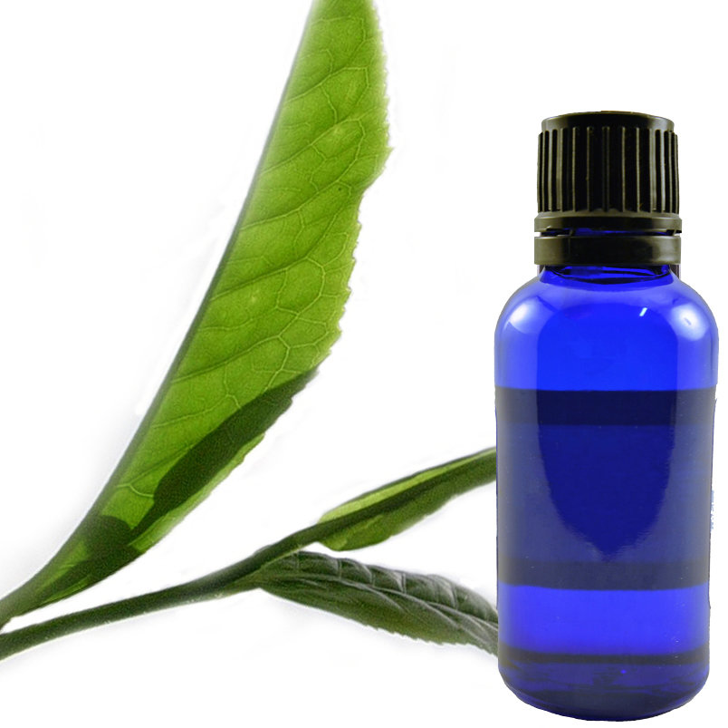 Tea Tree Essential Oil (Australia)