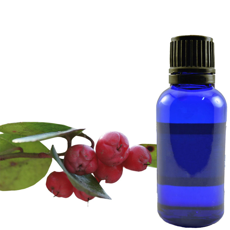Wintergreen Essential Oil (Chinese)