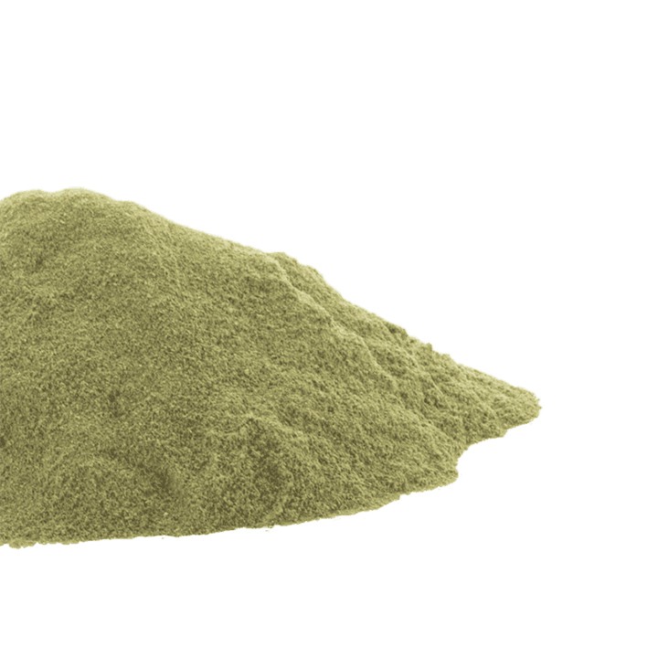 Gotu Kola