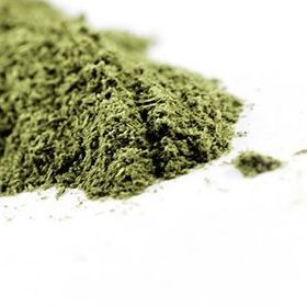 Skullcap Powder