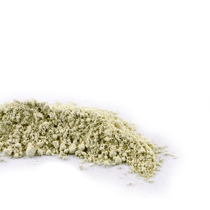 Coriander