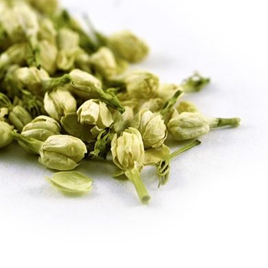 Jasmine Flower