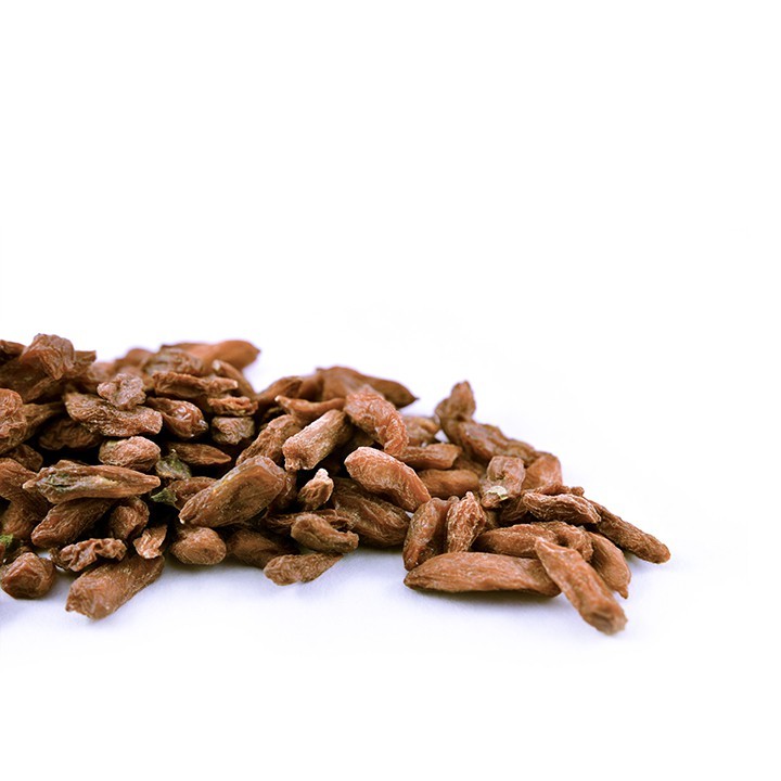 Lycii Berry (Goji)