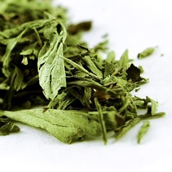 Stevia Leaf