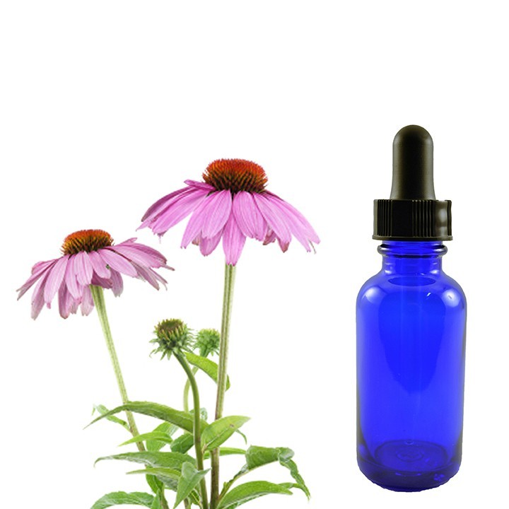 Echinacea P. Tincture