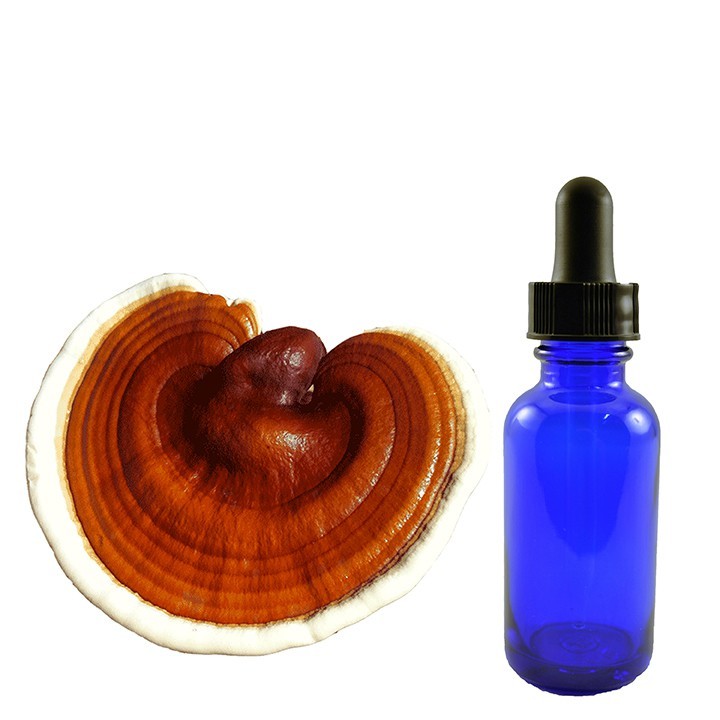 Reishi Tincture