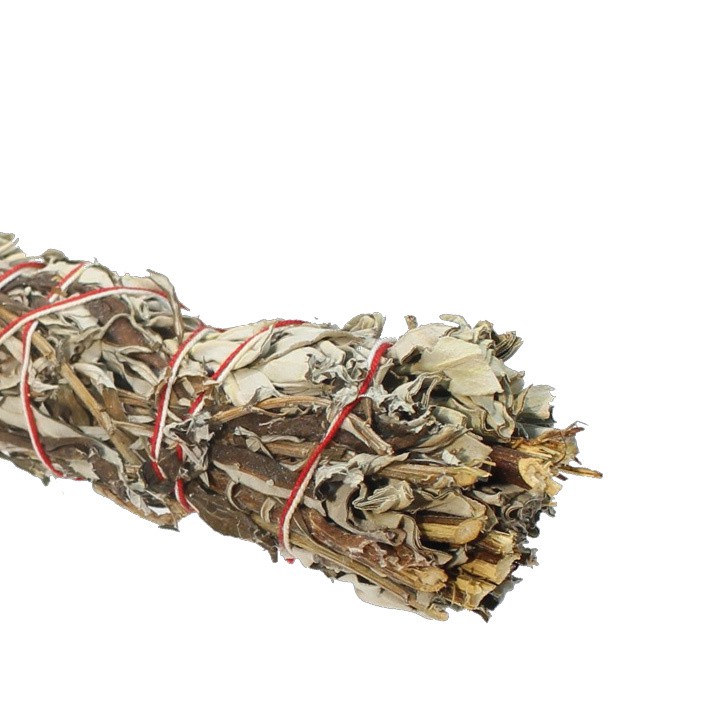 Mugwort Smudge 5"