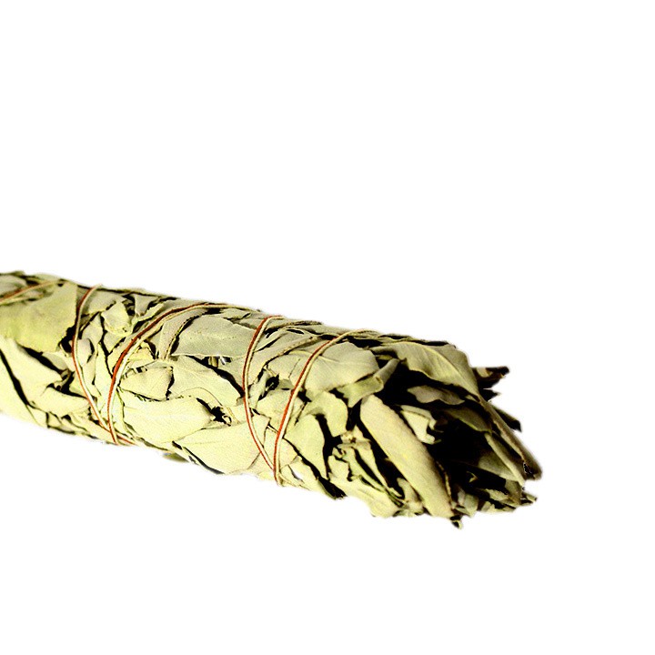 White Sage Smudge