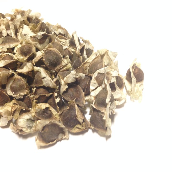 Moringa Seeds