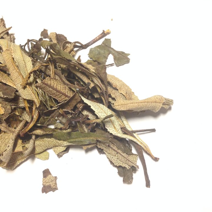 Yerba Santa Leaf