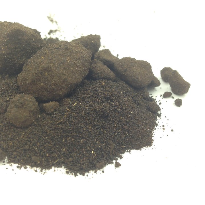Wild Dagga 20x