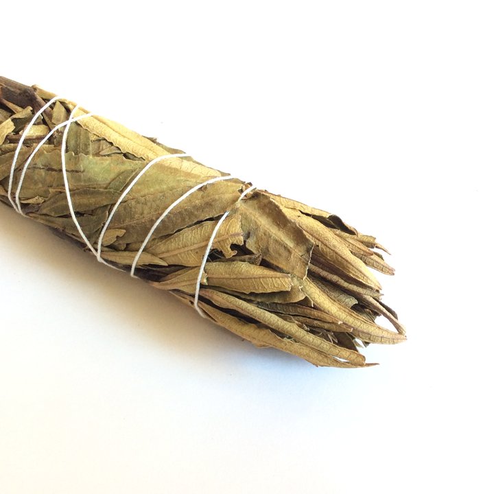 Yerba Santa Smudge 5"