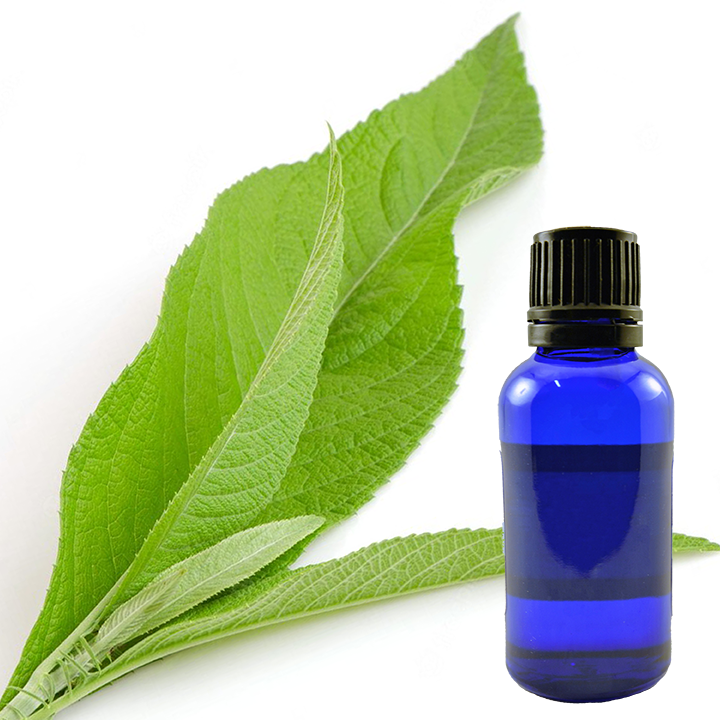 Camphor Oil