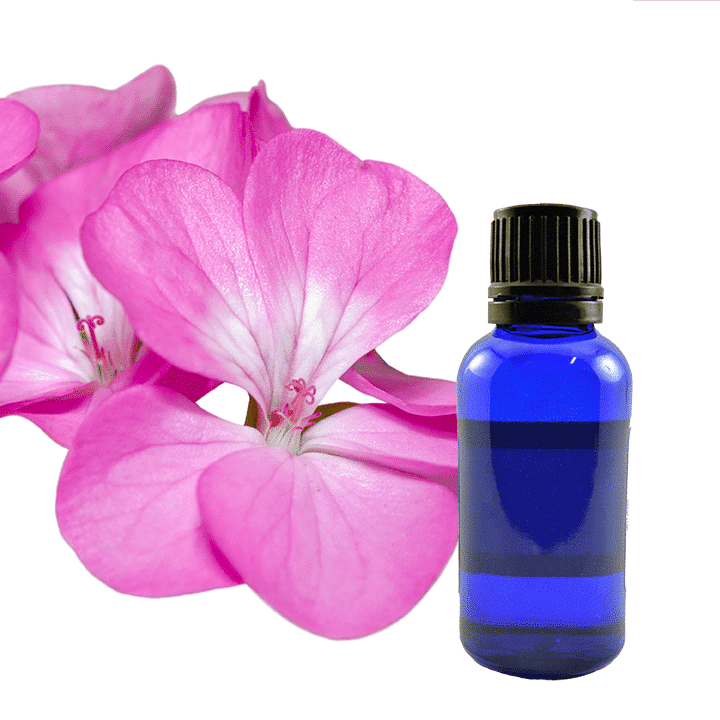 Geranium Essential Oil