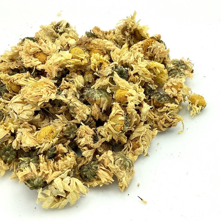 Chrysanthemum Flower