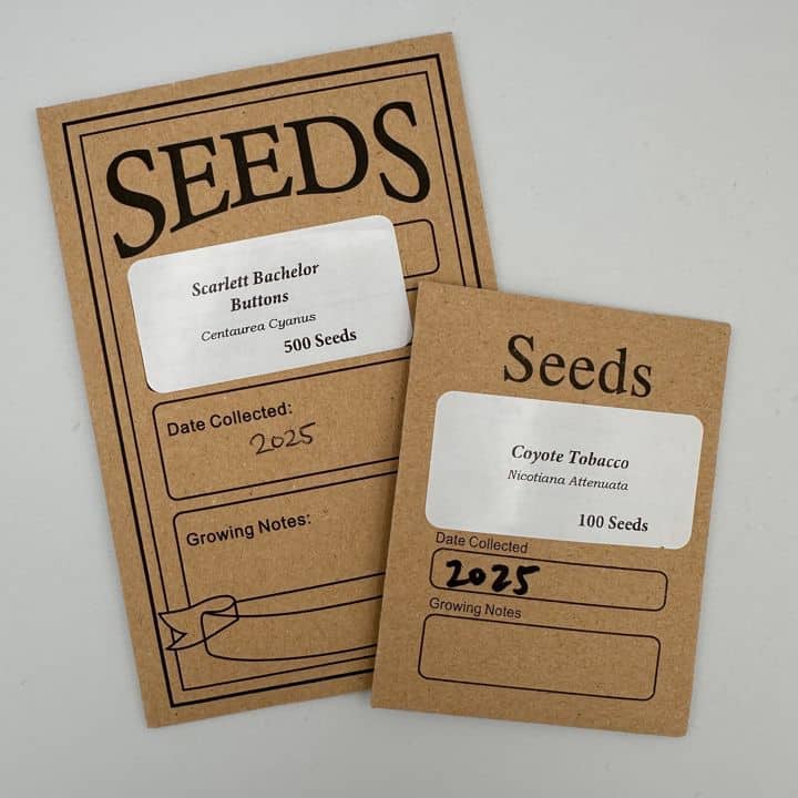 Seeds